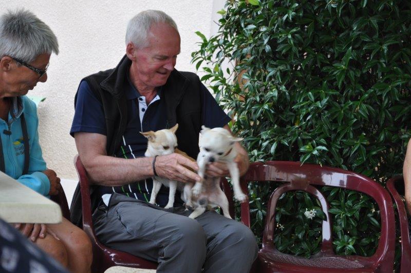 17.06.30.393.chien d'un client