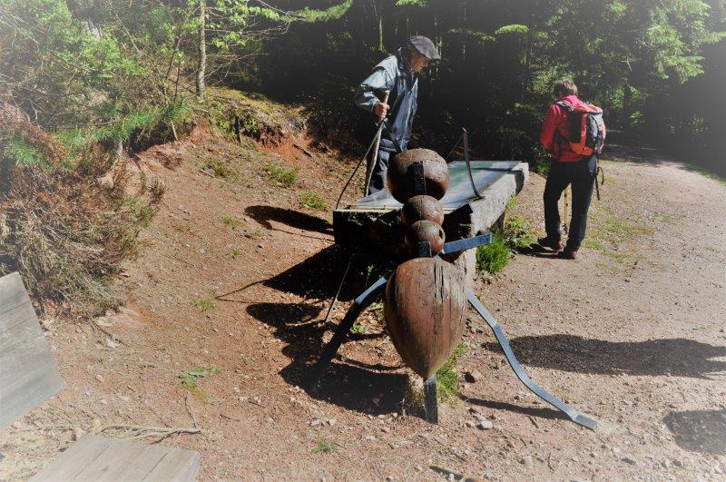 18.04.26.051.chemin des fourmis