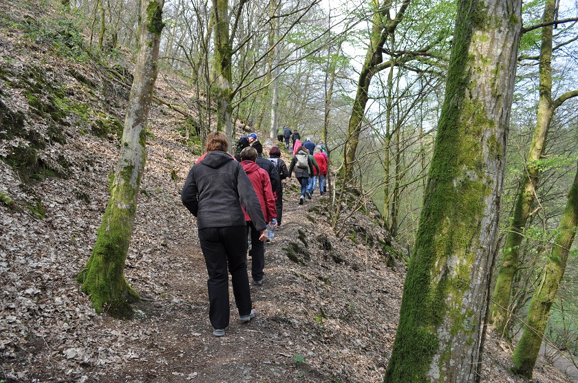19.04.14.057.pas large le chemin