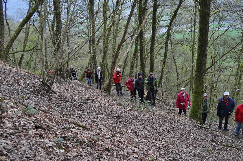 19.04.14.059.on monte