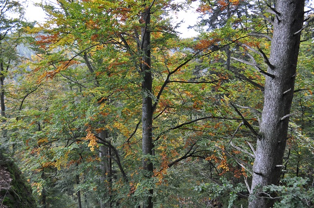 19.10.13.672.la salière