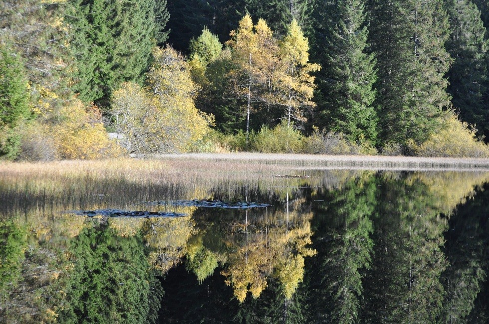 21 10 27 105 etang de xausonfaing min 1