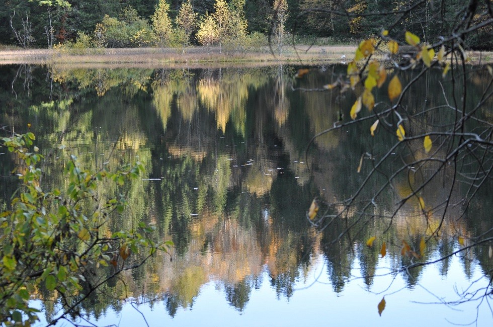 21 10 27 108 etang de xausonfaing min