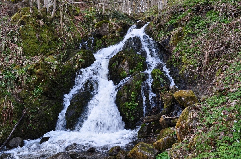 22 04 10 277 cascade du pendant pre