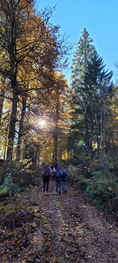 76 randonnee sous bois dimanche