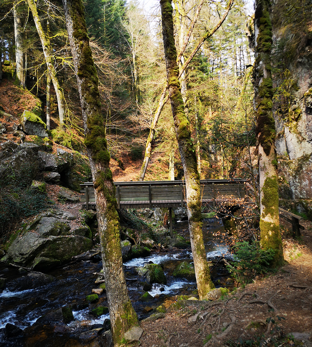 Cascade7