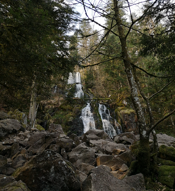 Cascade8