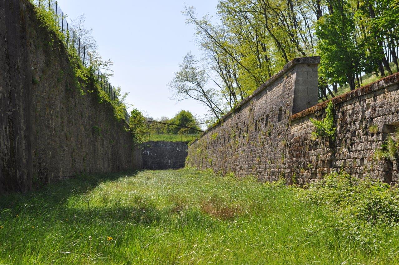 DSC_0061