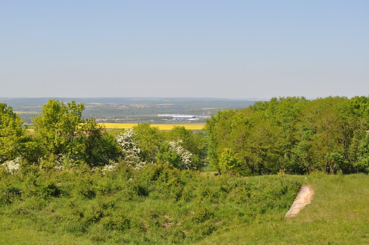 DSC_0074