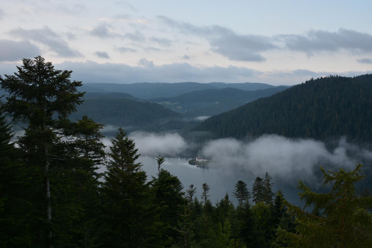 DSC_1254
