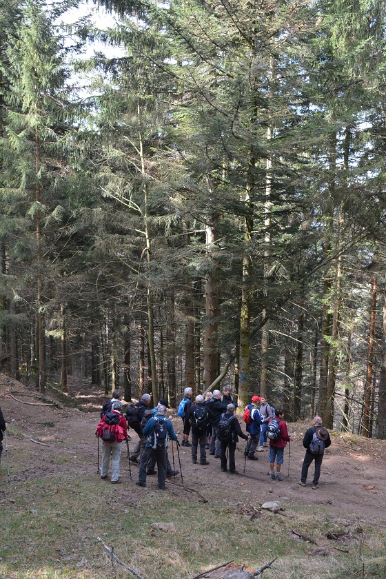 DSC_3583