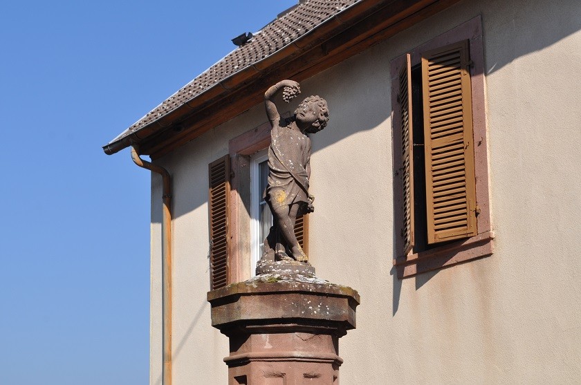 Dsc 41
