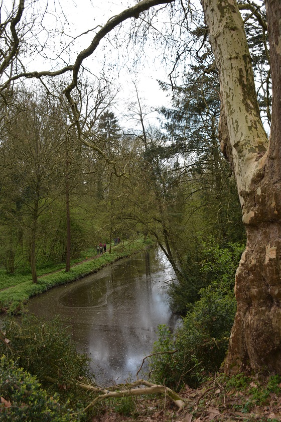 DSC_7008
