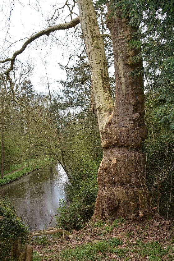 DSC_7014