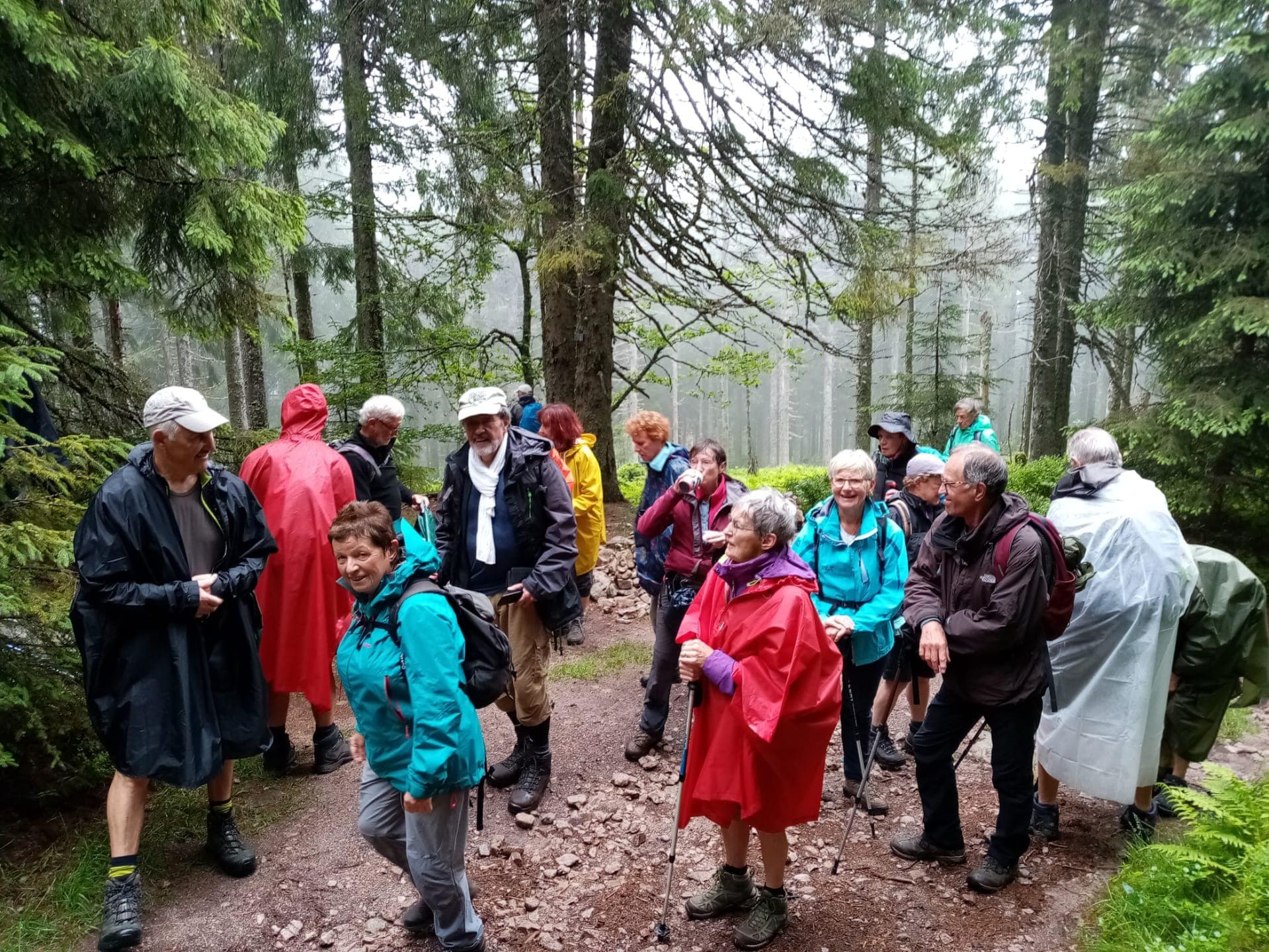 Image 1 vosges 2021 min