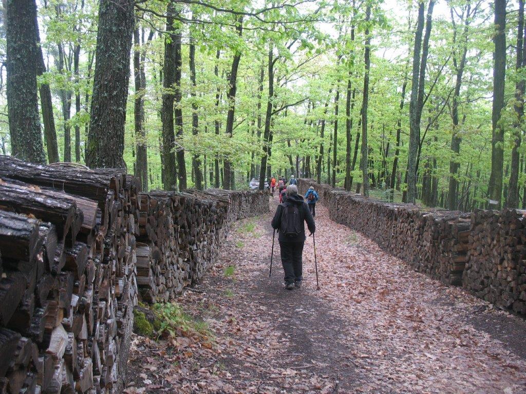 IMG_0631