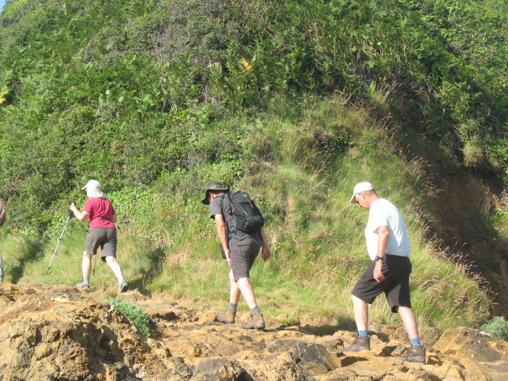 IMG_1326
