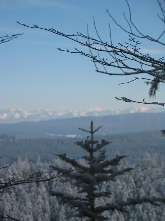 IMG_1945