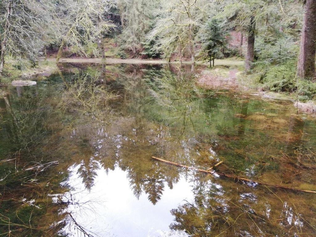Img 20200311 145956