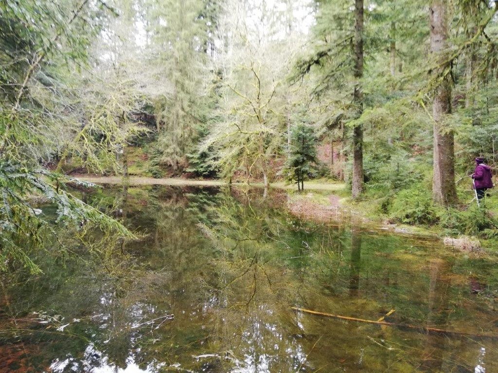 Img 20200311 150406