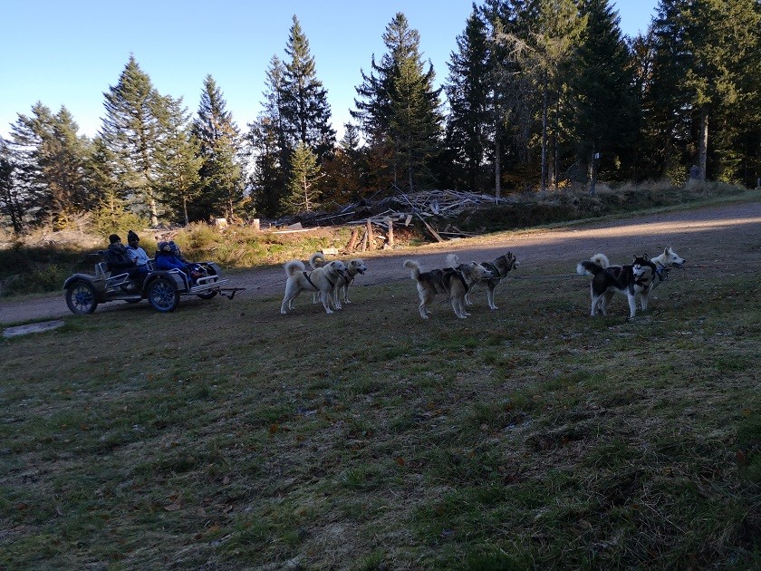 Grand Haut 5