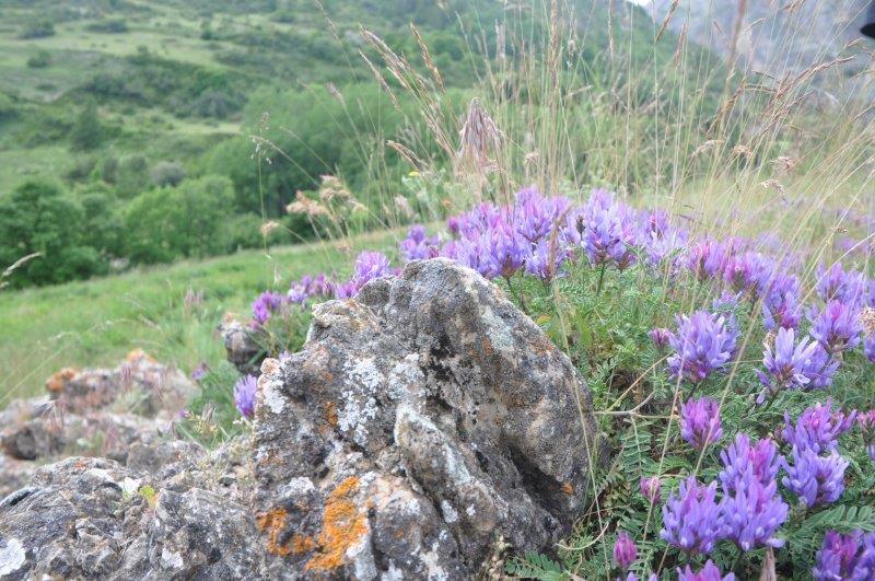 Montagne 0578