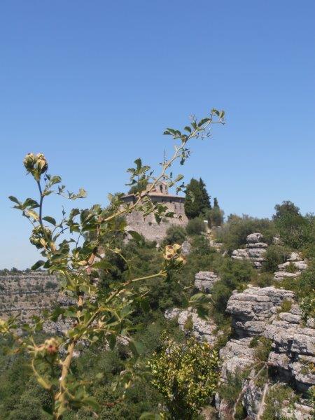 P1010027