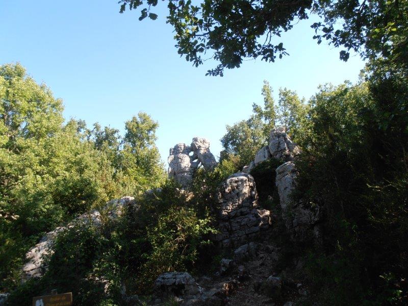 P1010035