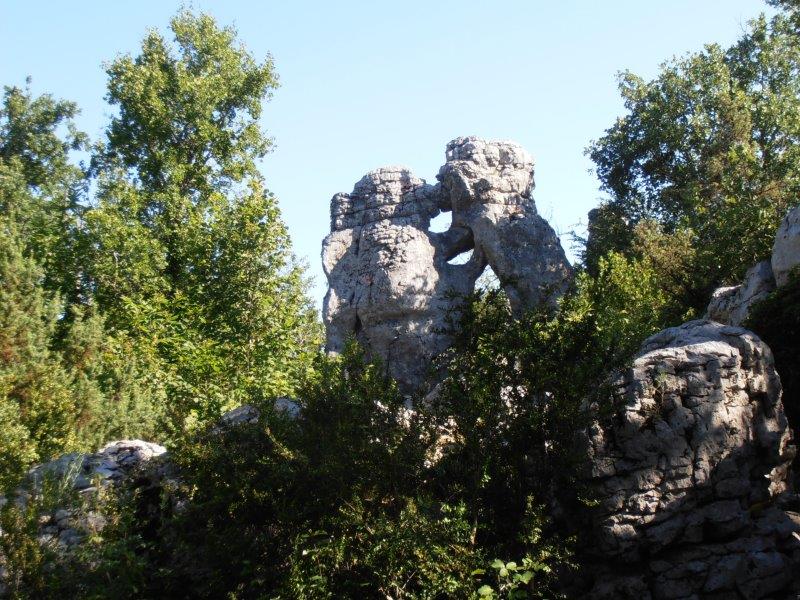 P1010036