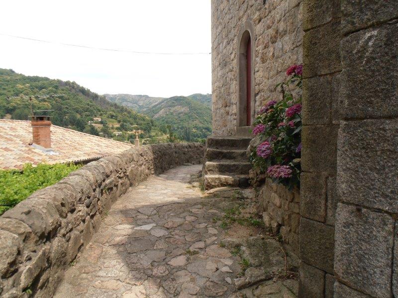 P1010069