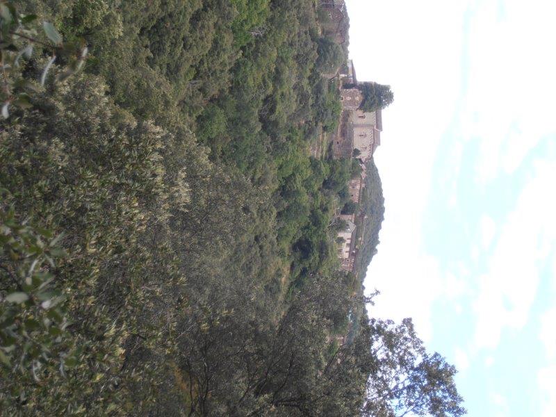 P1010201