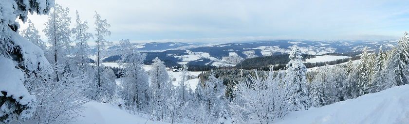 P1070431