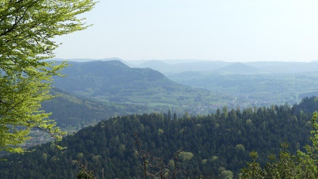 P1090110