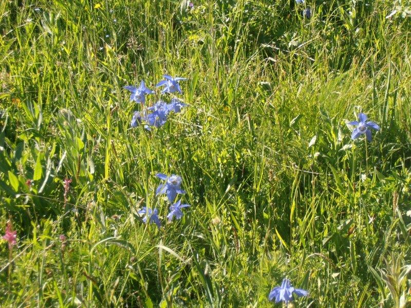 P6290066