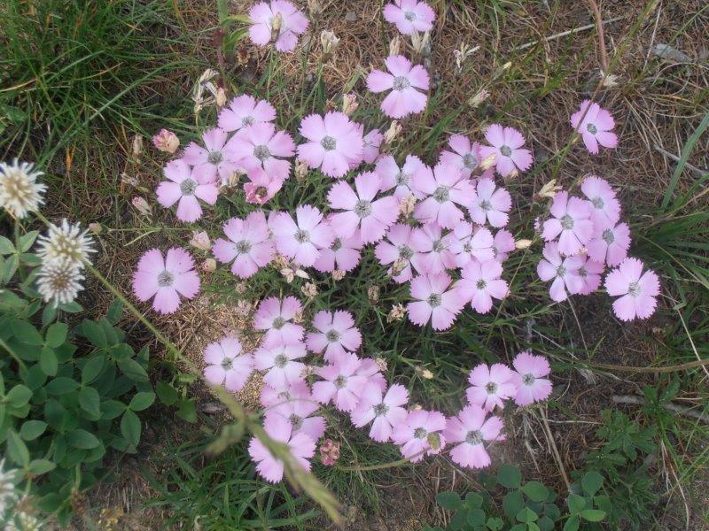 P6290095