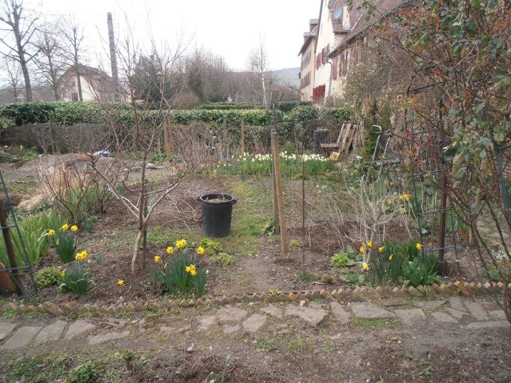 Rouffach 016
