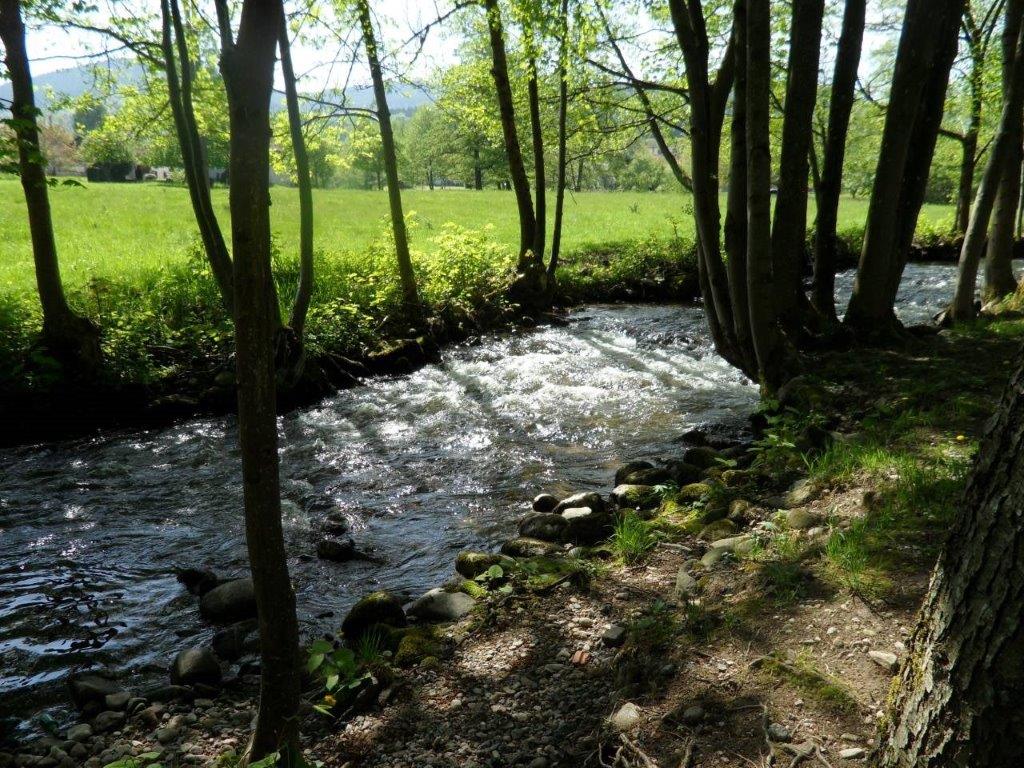 SAM_5343_1