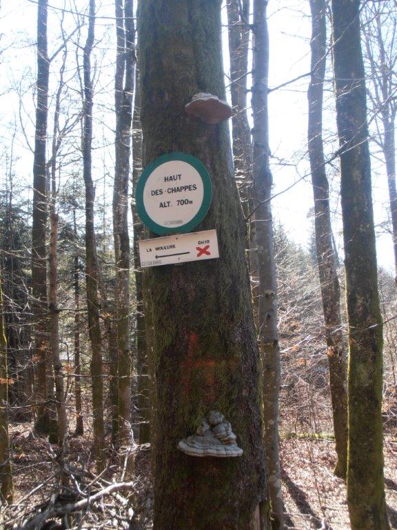 Sortie autour de Granges 005